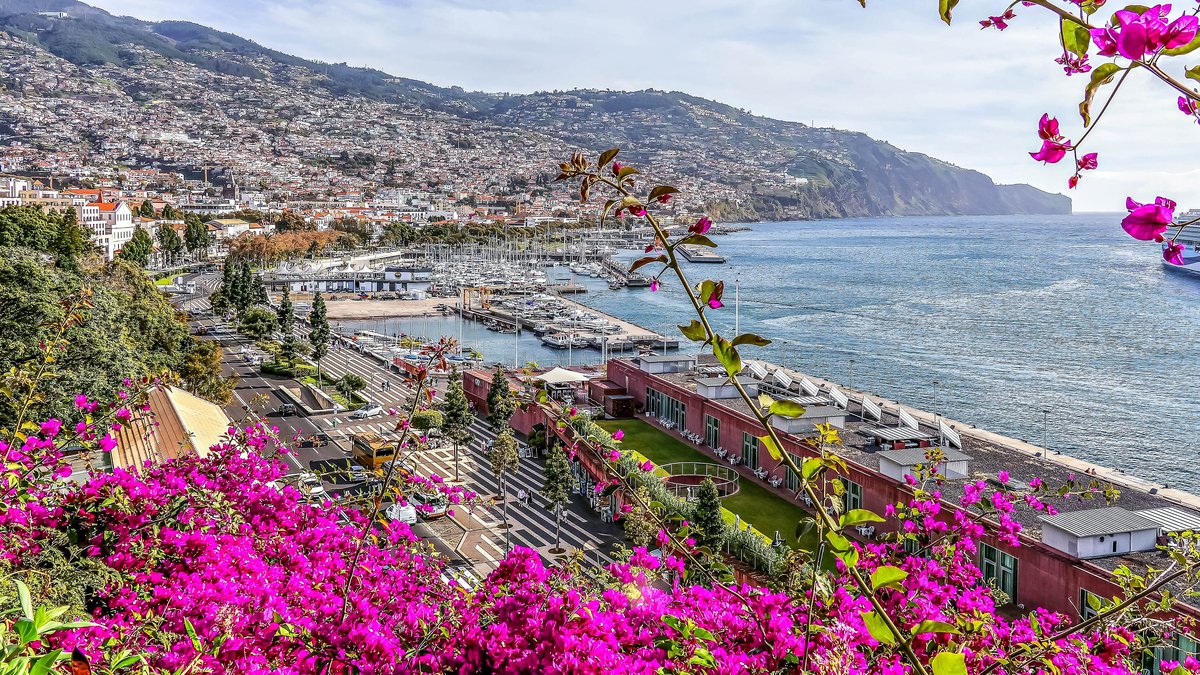 Funchal & Madeira cityscape