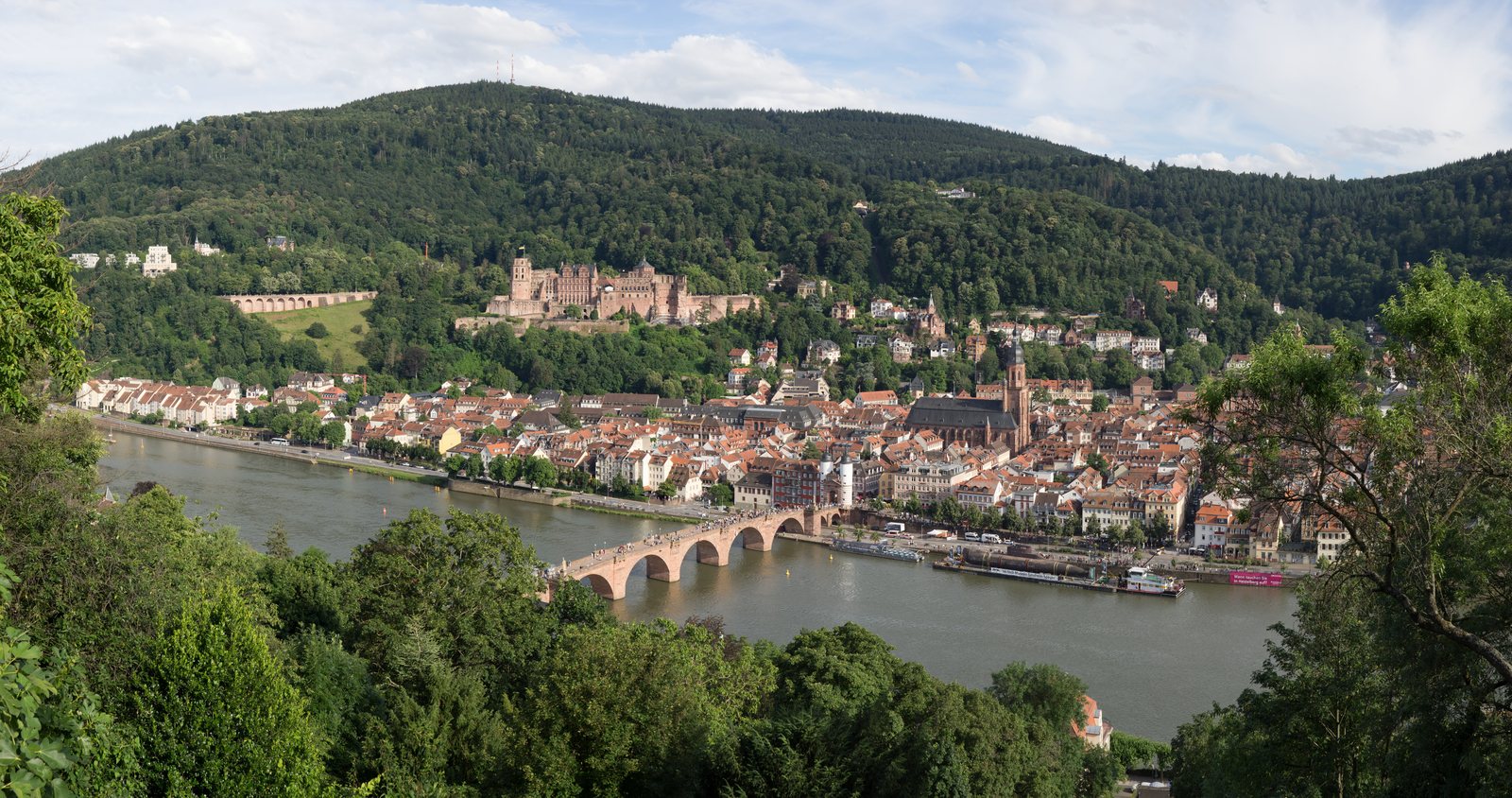 Heidelberg cityscape