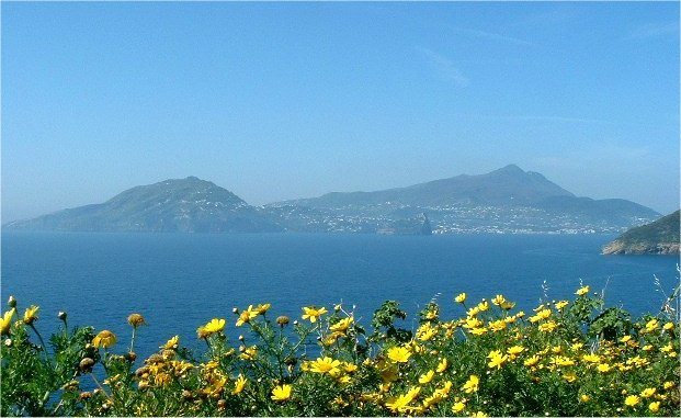 Ischia cityscape